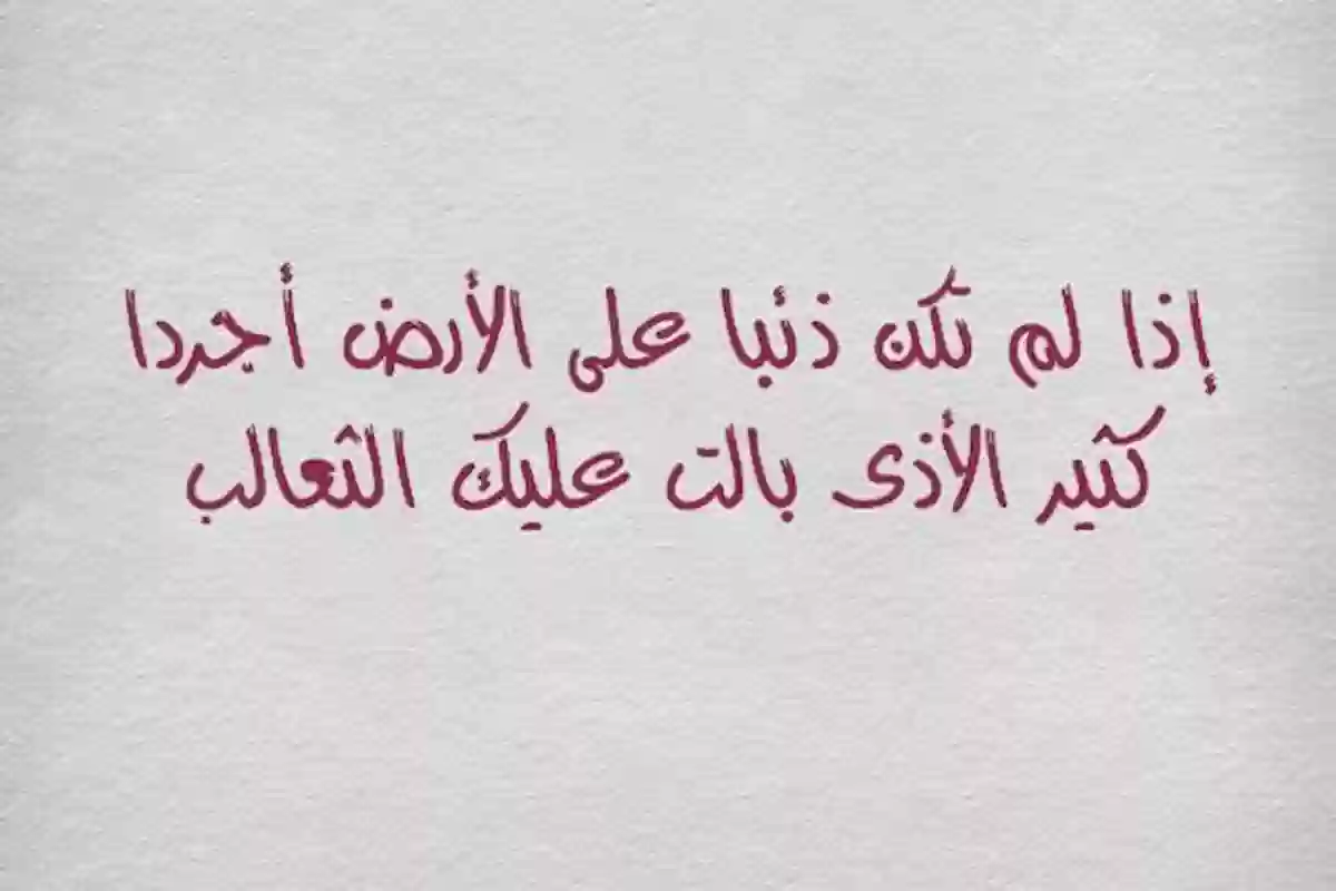 عبارات عن النفاق للواتس +40 عبارات عن النفاق والكذب