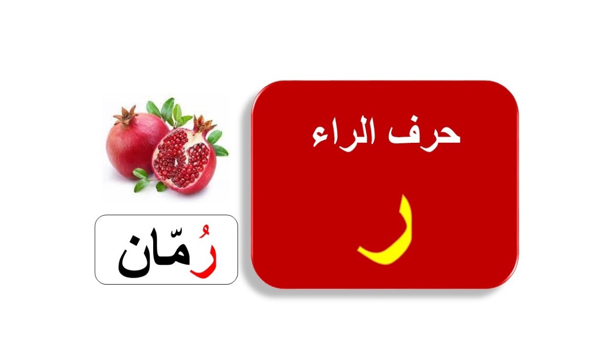 اسم أكلة بحرف الراء وأشهر أكلات حديثة بحرف ر 